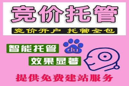 如何高效开展SEM营销案例分析